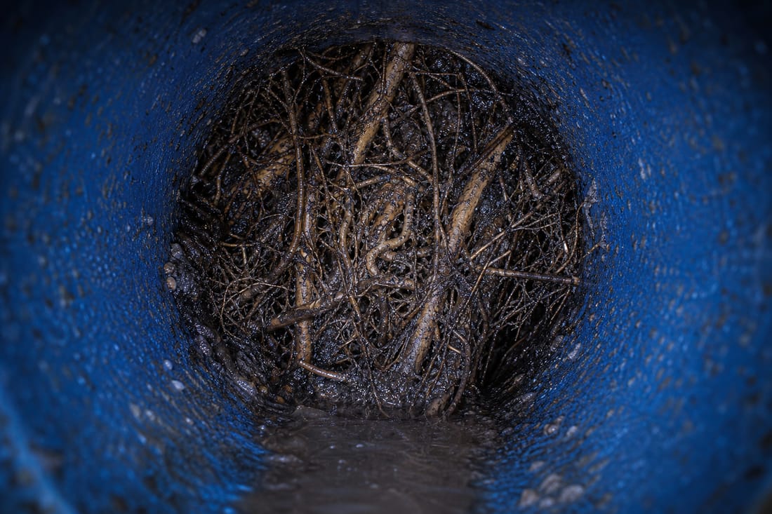 Exemple : racines dans une canalisation vue caméra